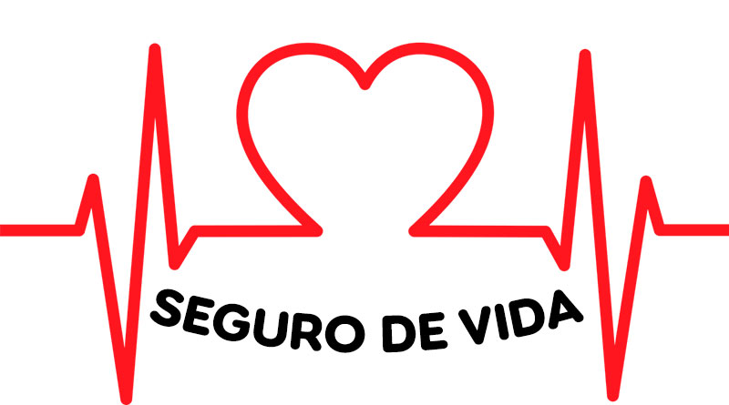 Seguro de vida: quais tipos de seguro de vida estão disponíveis no mercado?