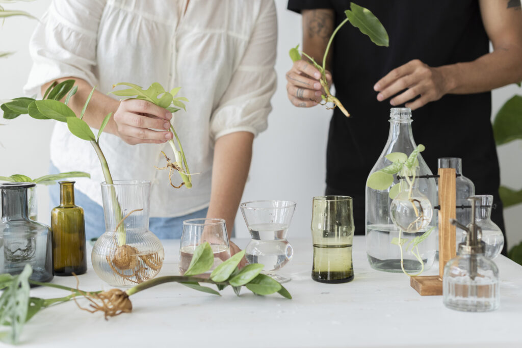 Sustentabilidade na indústria cosmética: como reduzir desperdícios plásticos