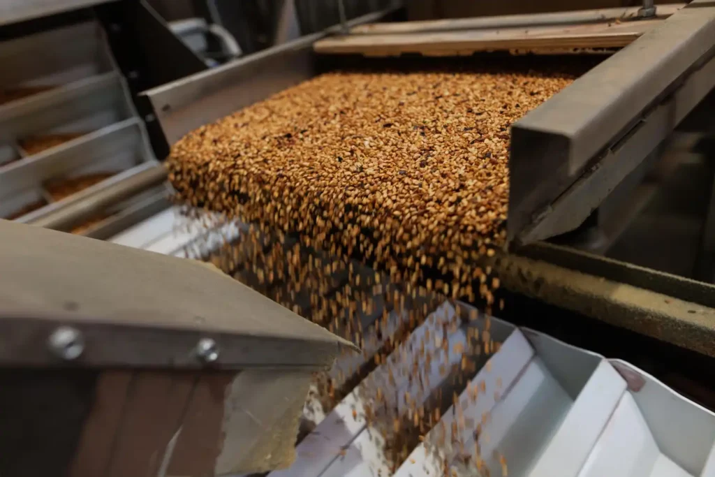 Imagem de um secador de grãos industrial, destacando a eficiência na secagem de diferentes tipos de grãos para otimizar a produção agrícola.